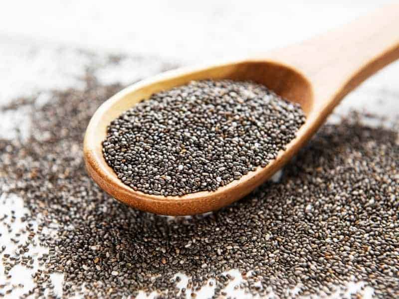 Can Birds Eat Chia Seeds? (Quick Answers)