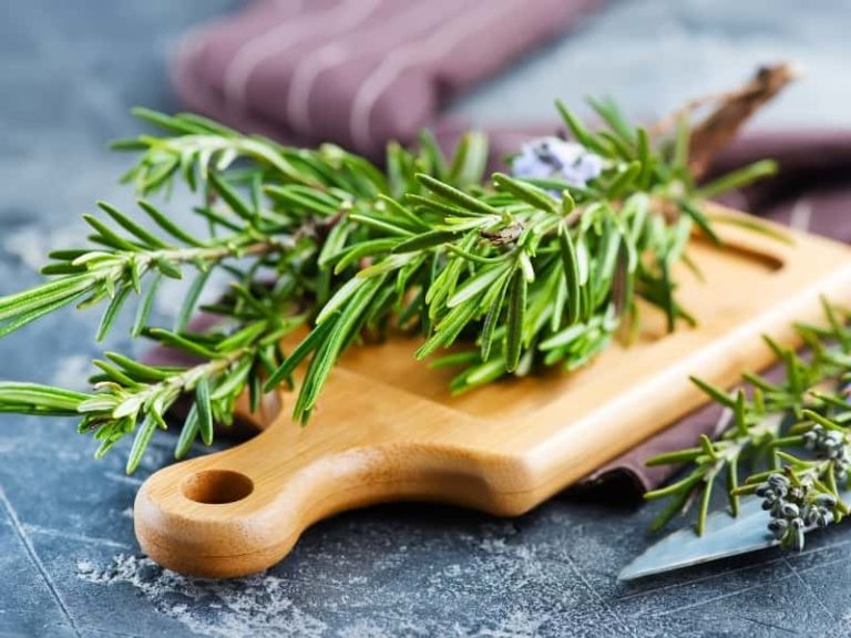 Can You Eat Rosemary Leaves & Needles? (Explained)