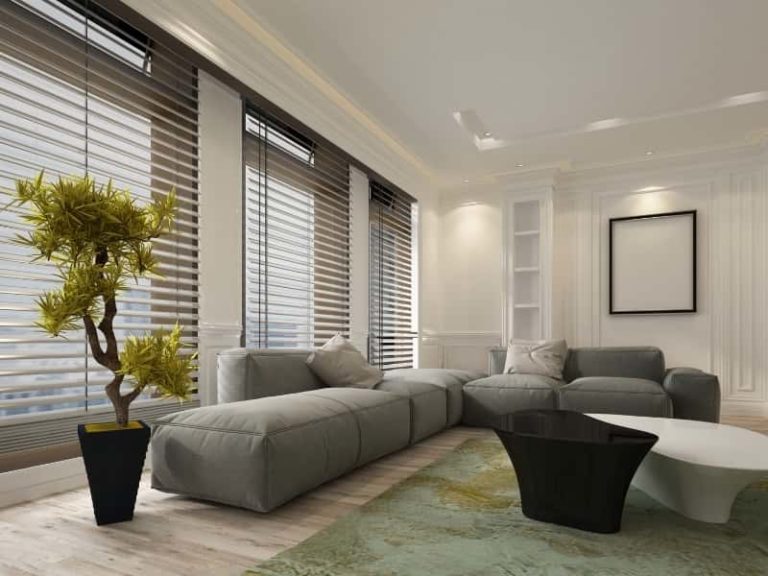 Can You See Through Blinds During the Day or Night?