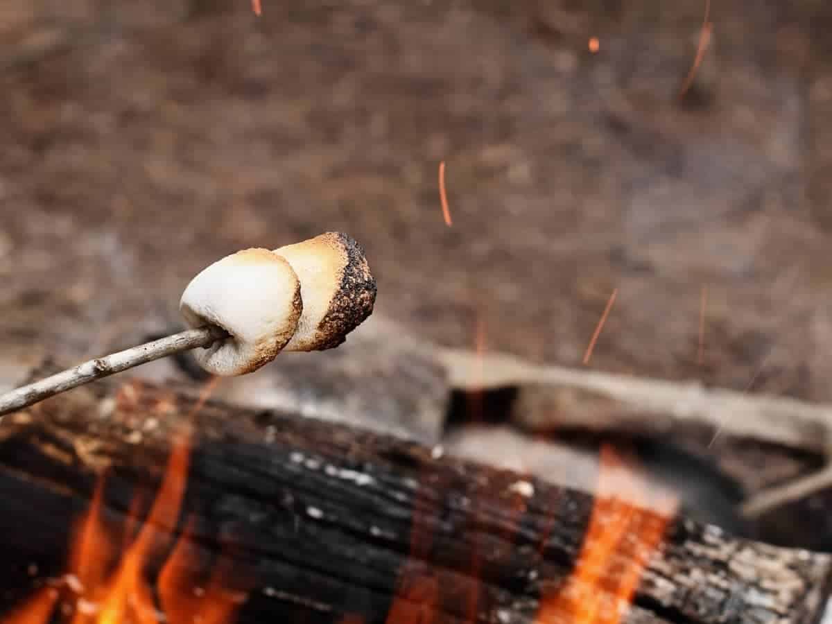 Can You Roast Marshmallows Over a Duraflame Fire Log?