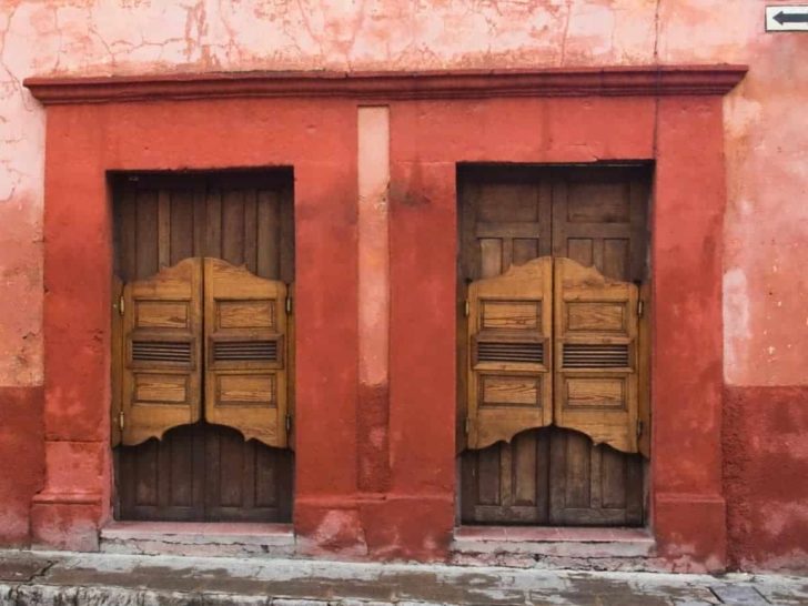 How to Make a Door Swing Both Ways? (Explained)