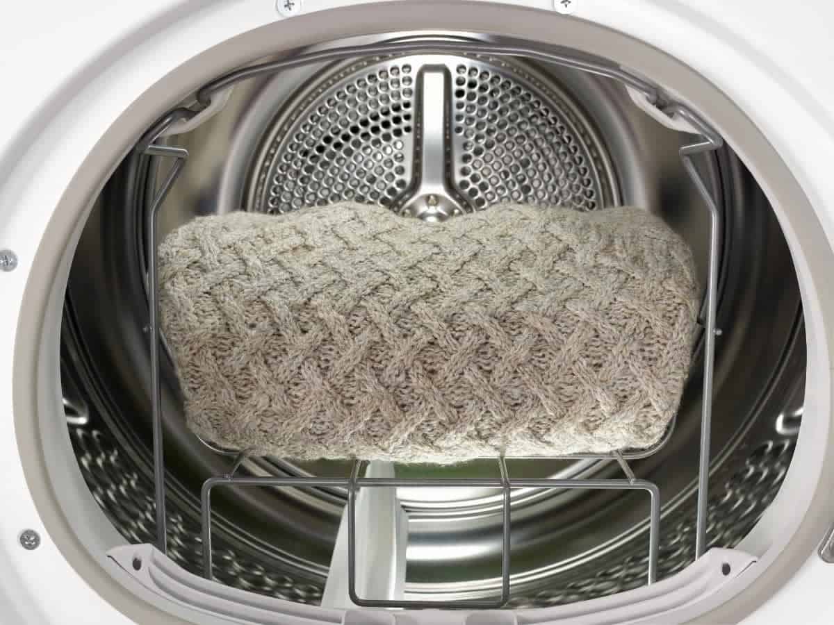 Do Wool Dryer Balls Remove Pet Hair? (Explained)