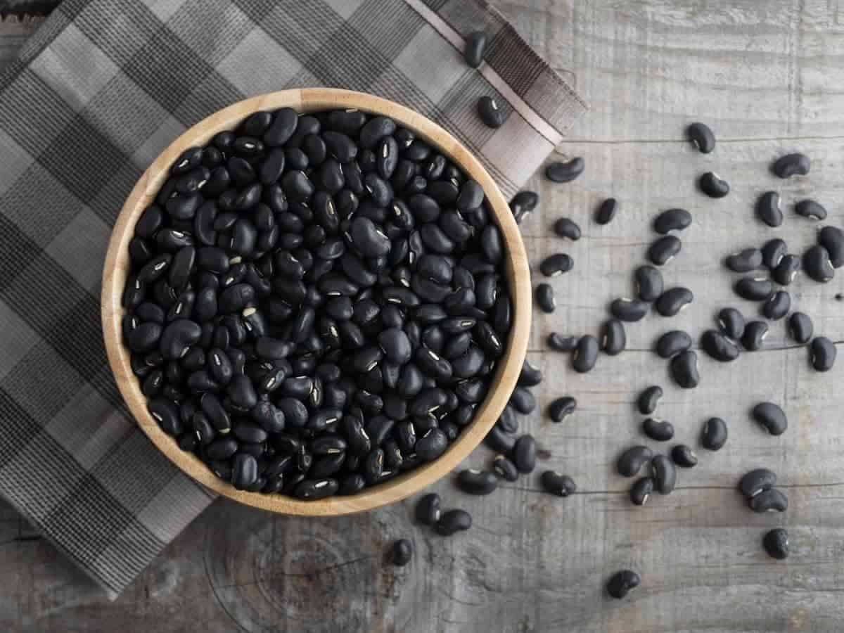 Can You Eat Black Beans Raw? (Read This First!)