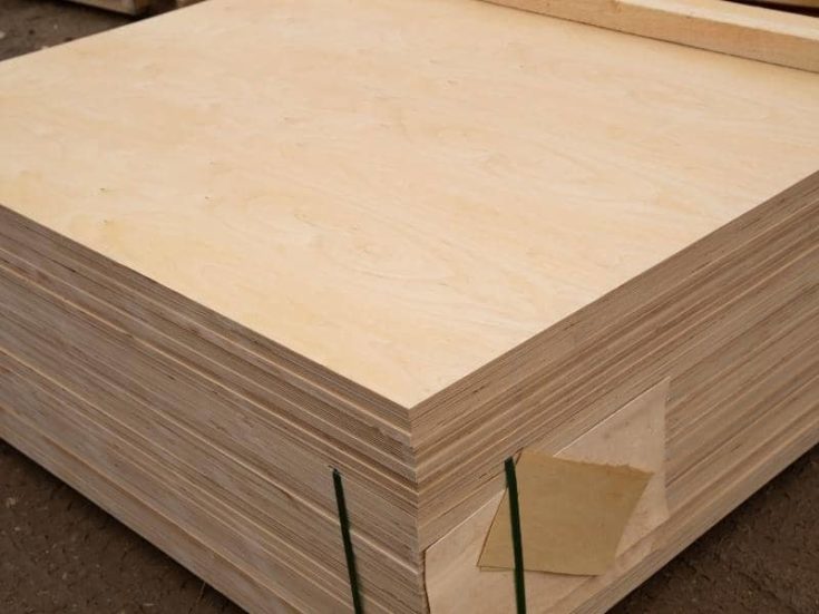 Can Pine Be Used Outside? (Quick Answers)